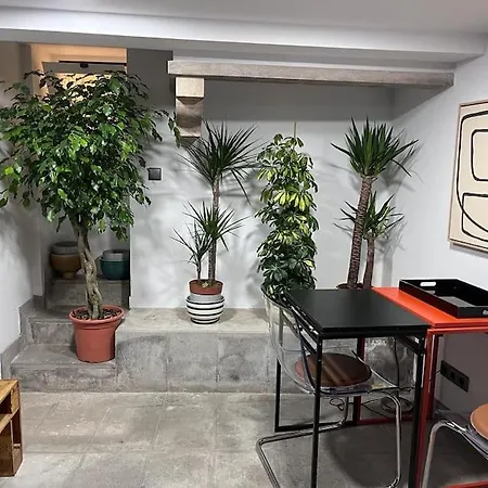 Apartmán Cozy Duplex Principe Real *